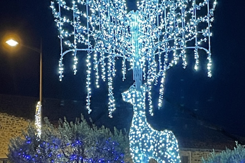 Holiday lights